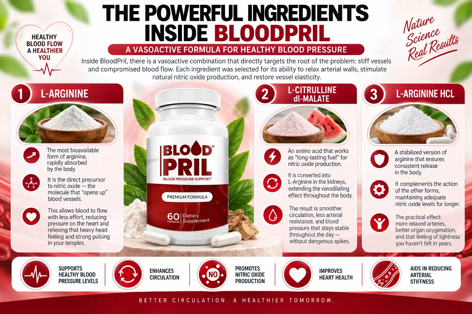 The powerful ingredients inside BloodPril — L-Arginine, L-Citrulline DL-Malate, L-Arginine HCL