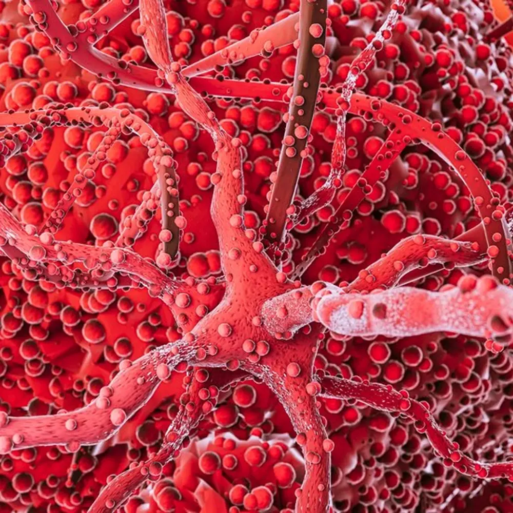 Illustration representing blood vessels and mineral balance