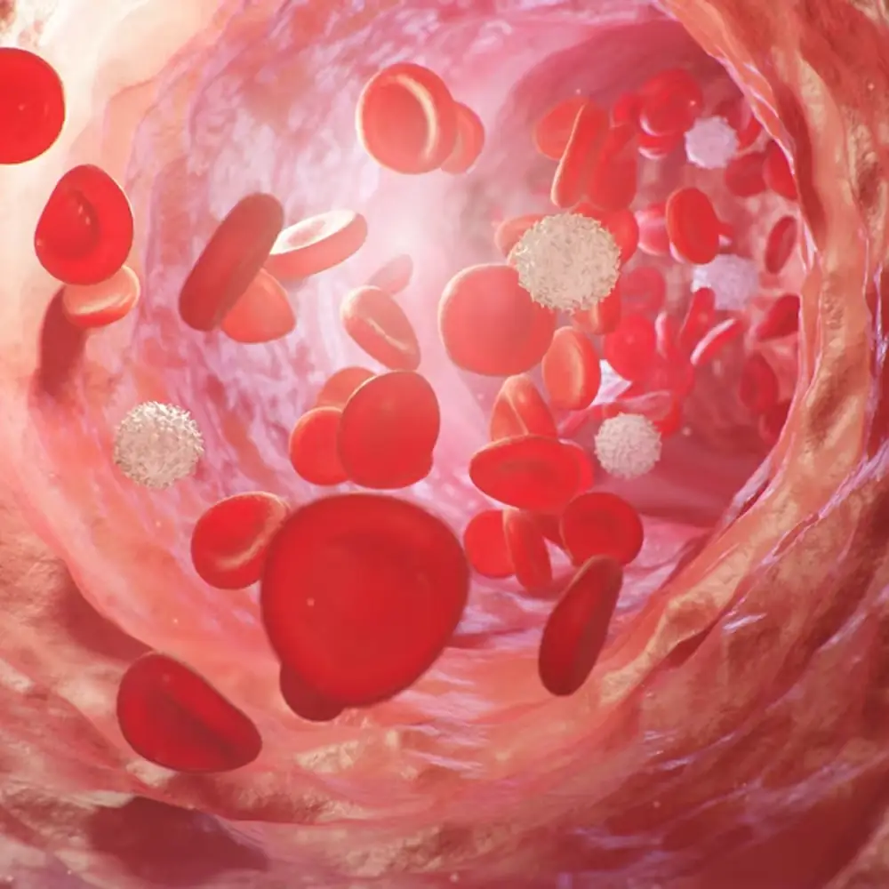 Illustration of blood flow through a vessel