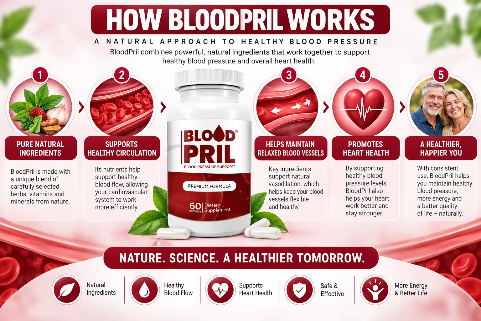 How BloodPril works — pure natural ingredients, supports healthy circulation, helps maintain relaxed blood vessels, supports heart health